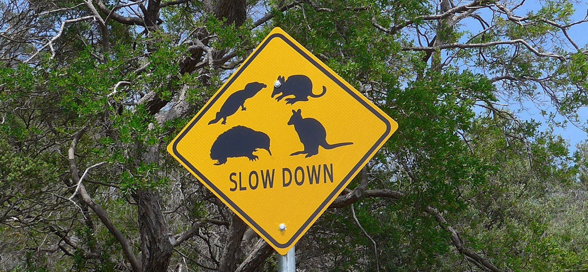 A slow down sign